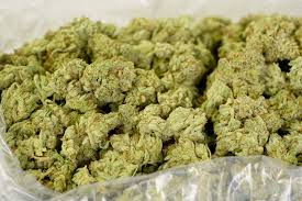 20 gr Amnesia Exterior - ESP-AD